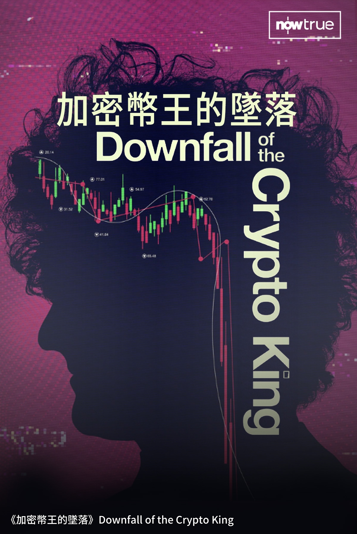 Now True 人物記錄片《加密幣王的墜落》(Downfall of the Crypto King) 海報
